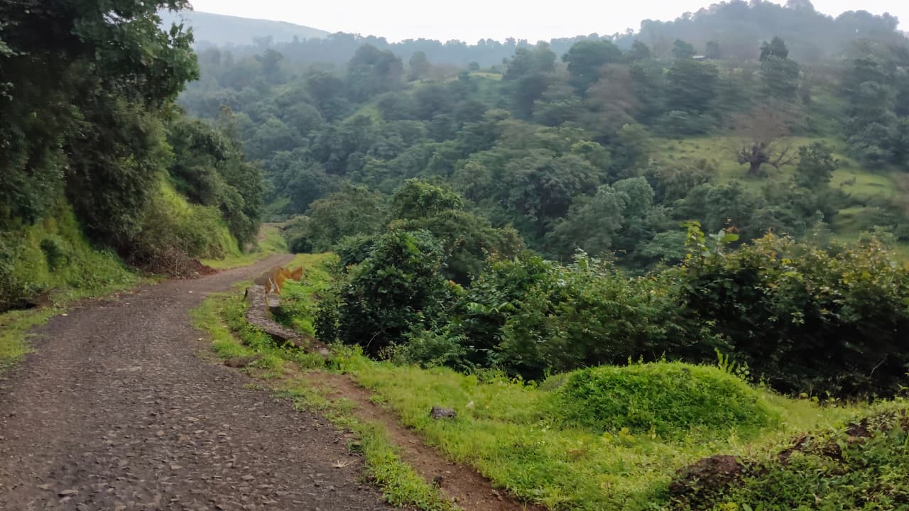 तीन वर्षांपासून रस्ता अपूर्ण; आदिवासी पाड्याच्या विकासाला खीळ